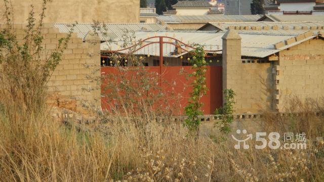 A^(q)F(tun)Y(ji)l(xing)1980ƽmϽ(jng)I(yng)r(nng)ҘB(yng)ֳNֲ(10)