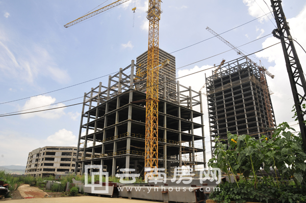 項目施工進度 項目施工進度