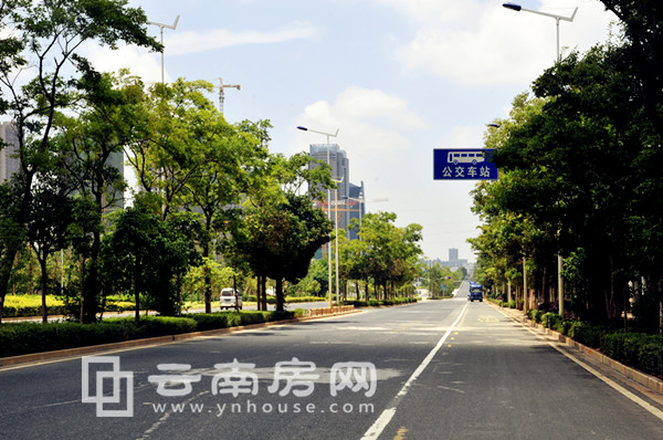 項目周邊道路 項目周邊道路