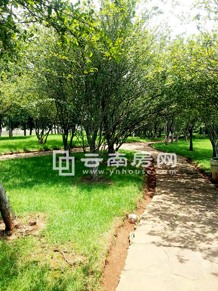 首領(lǐng)公館對(duì)面市政公園 首領(lǐng)公館對(duì)面市政公園