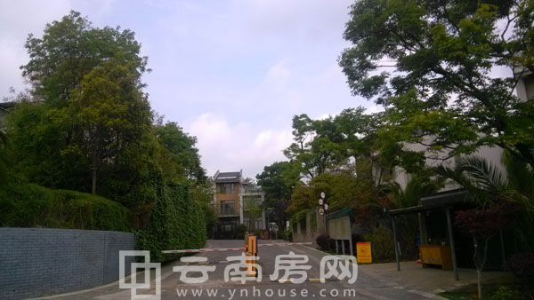 野鴨湖酩悅臺實景圖 野鴨湖酩悅臺實景圖