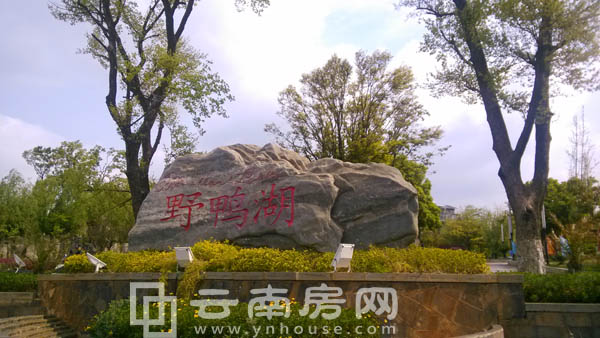 野鴨湖一期入口 野鴨湖一期入口