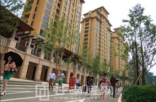 東盟森林實景圖 東盟森林實景圖