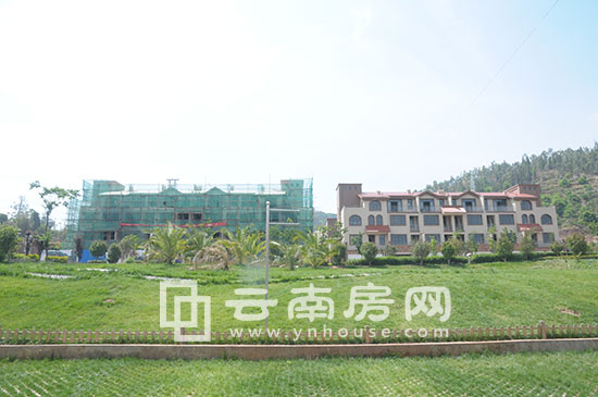 半山醍灣的施工進度 半山醍灣的施工進度