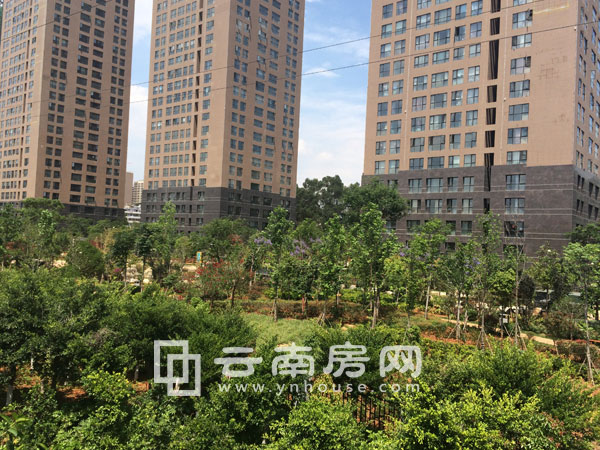 中國水電金檀實景 中國水電金檀實景