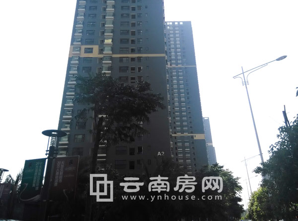 金領時代A2棟實景 金領時代A2棟實景