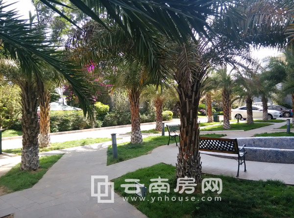 金領時代社區實景 金領時代社區實景