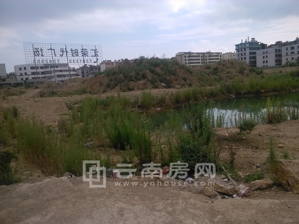 項目用地長滿雜草 項目用地長滿雜草