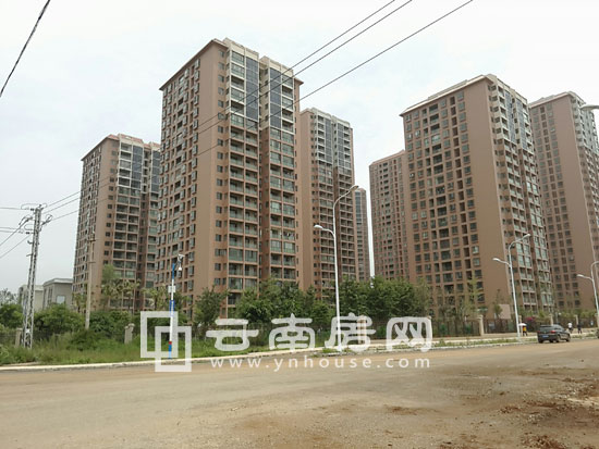 大方居實景 大方居實景