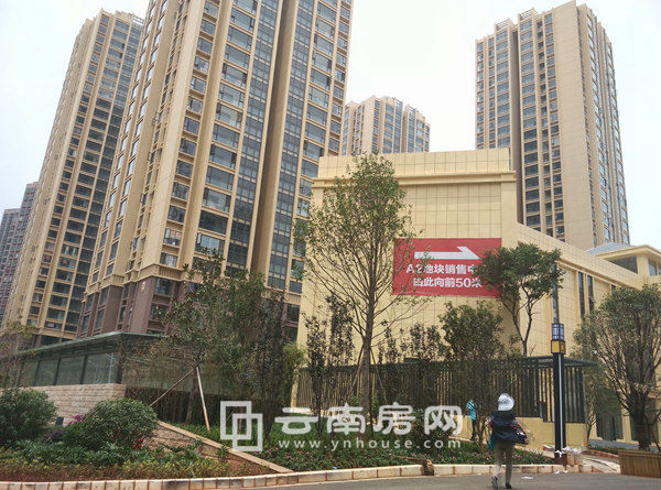 已經交房的A2地塊 已經交房的A2地塊