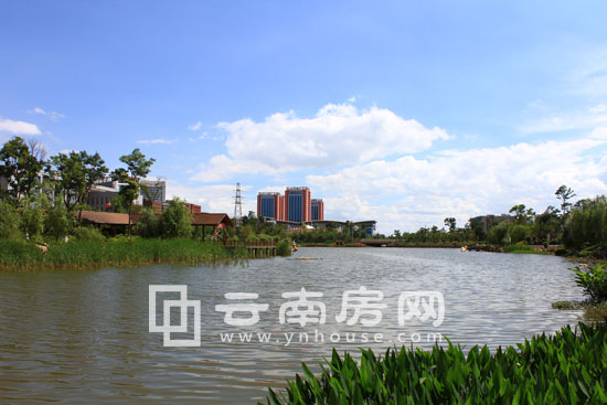 東信中心城與馬料河公園 東信中心城與馬料河公園