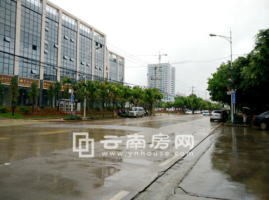 同豐總部花園項目周邊環境 同豐總部花園項目周邊環境