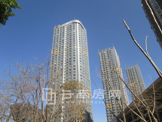 金領時代實景圖 金領時代實景圖