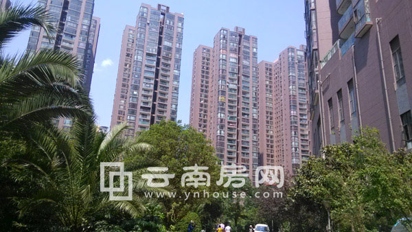 和諧世紀項目 和諧世紀項目