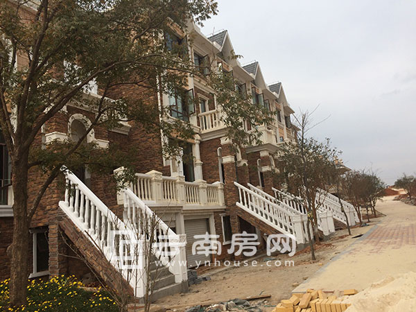 耀興楓丹白露實景 耀興楓丹白露實景