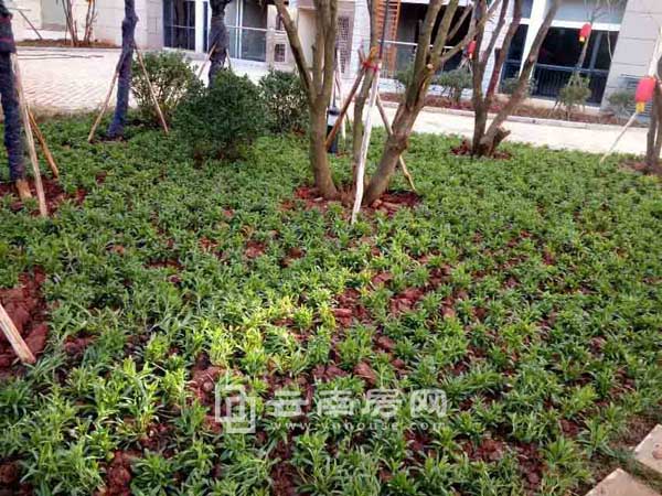 �؈@�G�������D