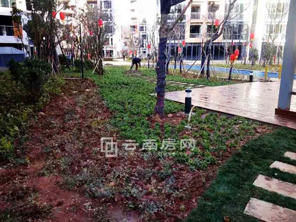 曦園小區(qū)實(shí)景 曦園小區(qū)實(shí)景