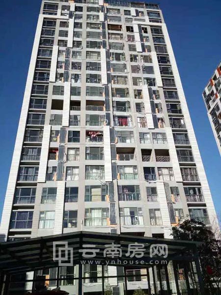 曦園的高層住宅住滿了業(yè)主 曦園的高層住宅住滿了業(yè)主