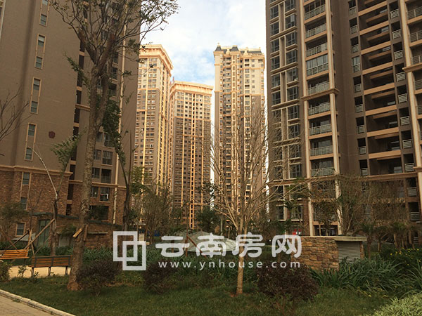 耀興楓丹白露實景 耀興楓丹白露實景
