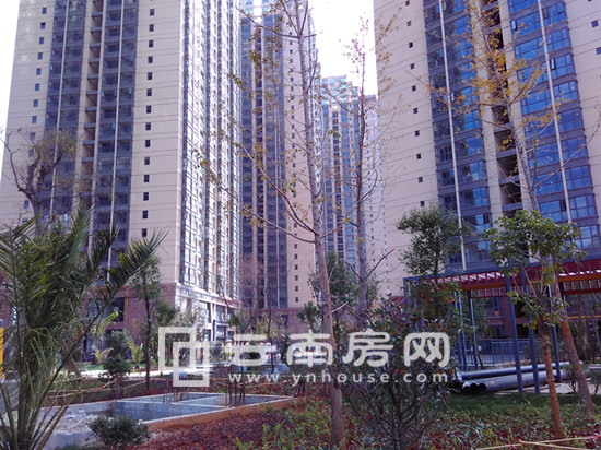 圣世一品項目實景 圣世一品項目實景