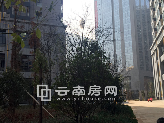 鑫世界實景圖 鑫世界實景圖