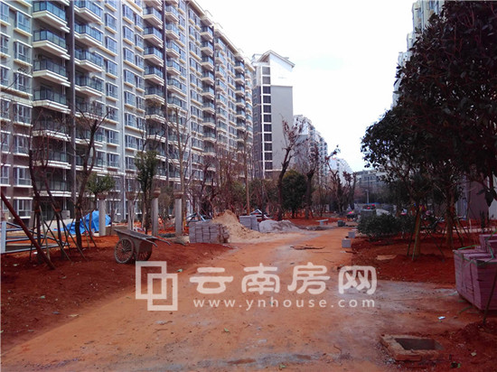 華都B區悅翠內部道路施工 華都B區悅翠內部道路施工
