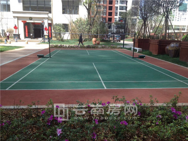 (rn)ʐ^(q)(ni)(sh)