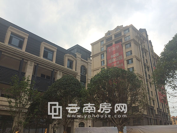 銀海 泊岸實景 銀海 泊岸實景