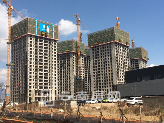 潤 城第三大道實景 潤 城第三大道實景