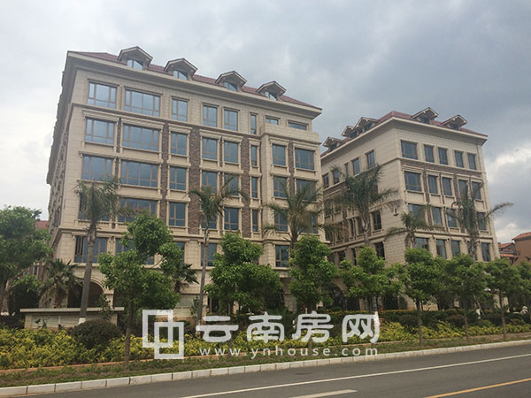 博欣 采蓮灣實(shí)景 博欣 采蓮灣實(shí)景