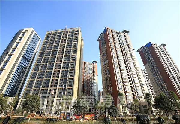 德潤 朗悅灣實景圖 德潤 朗悅灣實景圖