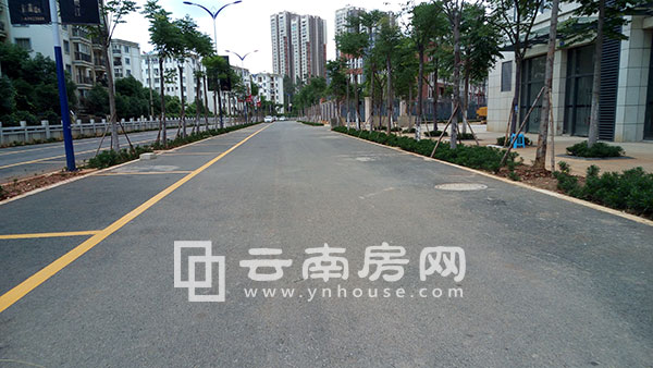德潤 朗悅灣社區道路 德潤 朗悅灣社區道路