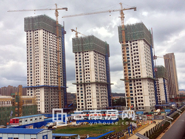 萬科公 園里實景 萬科公 園里實景