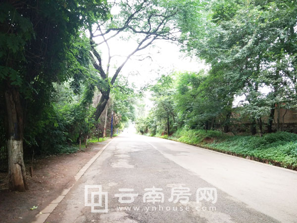 云錫琥 珀周邊交通情況 云錫琥 珀周邊交通情況