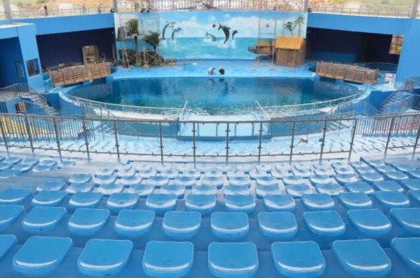 石林冰 雪海洋 世界海豚劇場(chǎng)實(shí)景圖(來(lái)源網(wǎng)絡(luò)) 石林冰 雪海洋 世界海豚劇場(chǎng)實(shí)景圖(來(lái)源網(wǎng)絡(luò))