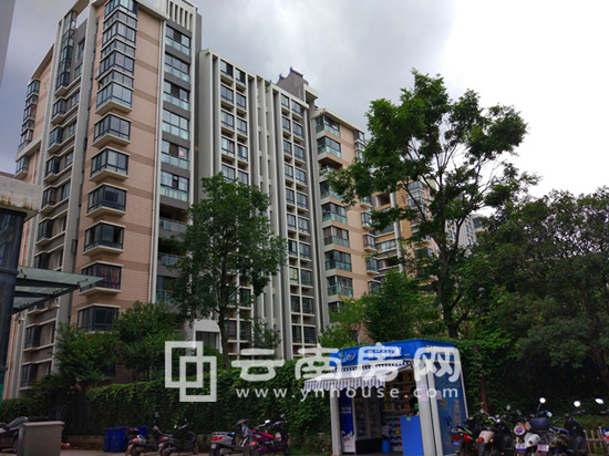 中天 融域一期住宅實景 中天 融域一期住宅實景