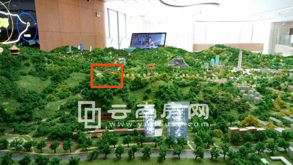 世博生 態城鳴鳳 鄰里所在位置 世博生 態城鳴鳳 鄰里所在位置