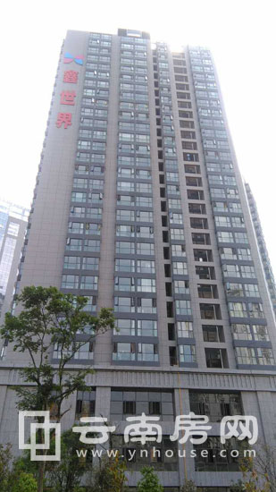 鑫世 界實景 鑫世 界實景