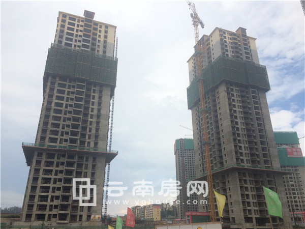 匯和紫 薇園實景 匯和紫 薇園實景