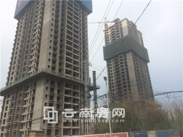 匯和紫 薇園實景 匯和紫 薇園實景