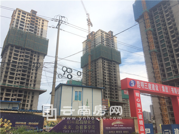 匯和紫 薇園實景 匯和紫 薇園實景