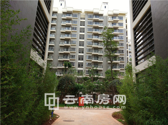 華都B 區(qū)悅翠小區(qū)實景 華都B 區(qū)悅翠小區(qū)實景