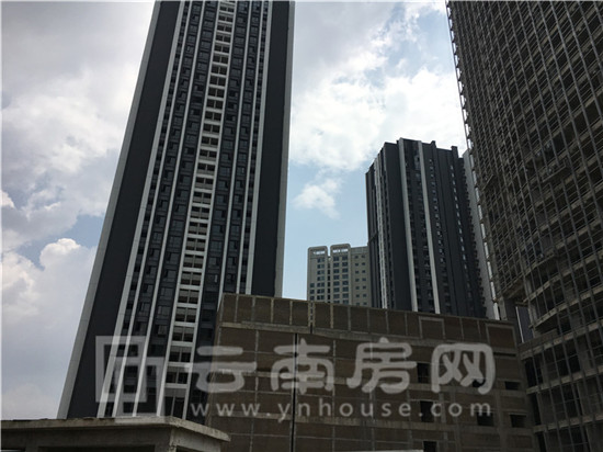 國 茶 港實景圖 國 茶 港實景圖