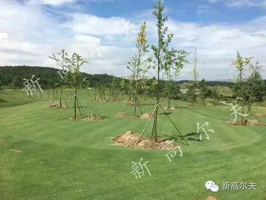 ʯCѽ(jng)NØĹXDƬԴ΢Ź̖¸ߠ