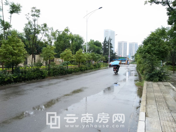 世 博首 岸周邊交通 世 博首 岸周邊交通