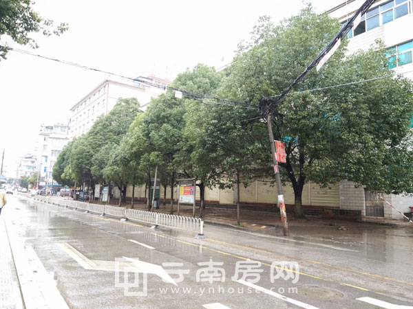 世 博首 岸周邊路況 世 博首 岸周邊路況