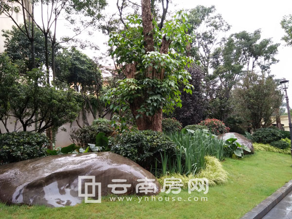 世 博首 岸小區(qū)內(nèi)部綠化景觀 世 博首 岸小區(qū)內(nèi)部綠化景觀