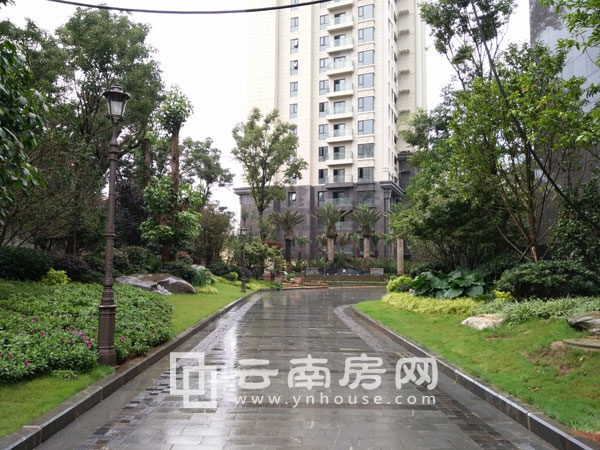 世 博首 岸小區(qū)內(nèi)部道路現(xiàn)狀 世 博首 岸小區(qū)內(nèi)部道路現(xiàn)狀