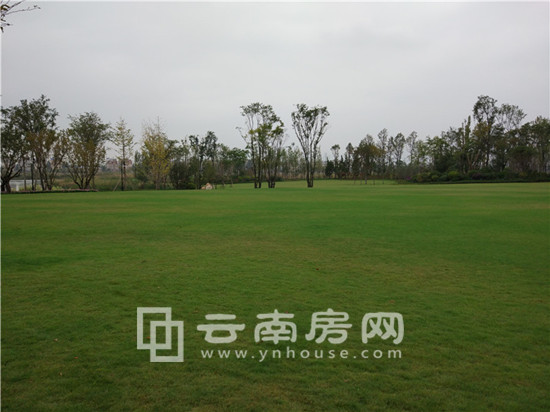 海東俊 園周邊公園實景 海東俊 園周邊公園實景