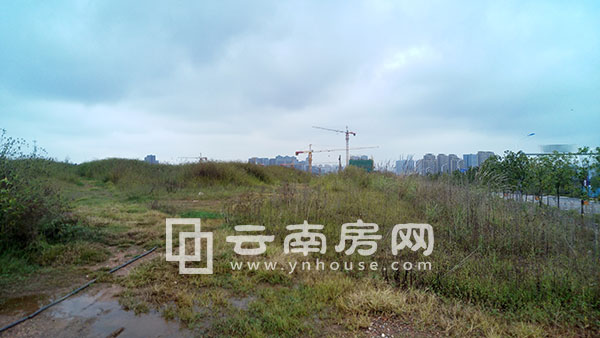 紅星美凱 龍家居生活廣場所在地塊實景 紅星美凱 龍家居生活廣場所在地塊實景